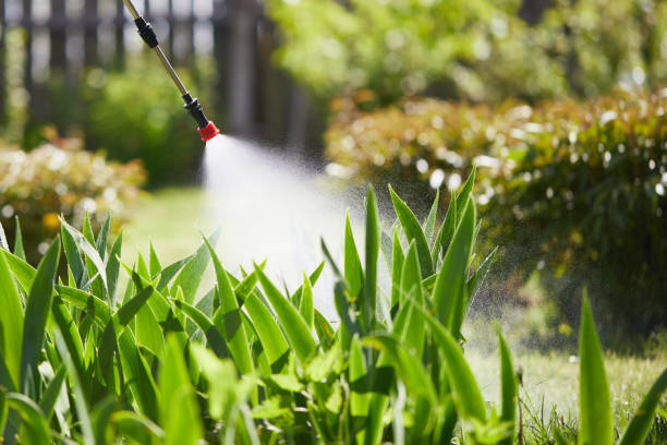 24/7 Emergency Mosquito Control experts in Centerville, IA