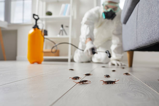 Trusted Cockroach Control service in Centerville, IA - Nex Pest Control